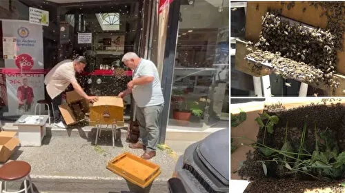 Binlerce arı iş merkezini bastı: Uzmanlar 'görünce el sallamayın' diye uyardı