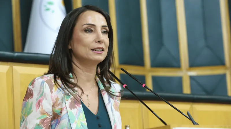 DEM Partili Hatimoğulları Demokratik Toplum İçin Şartını Açıkladı