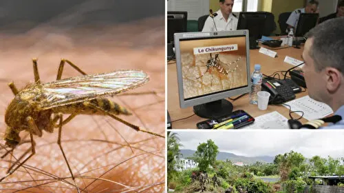 DSÖ Alarmı: Chikungunya Virüsü Salgını Kapıda mı?