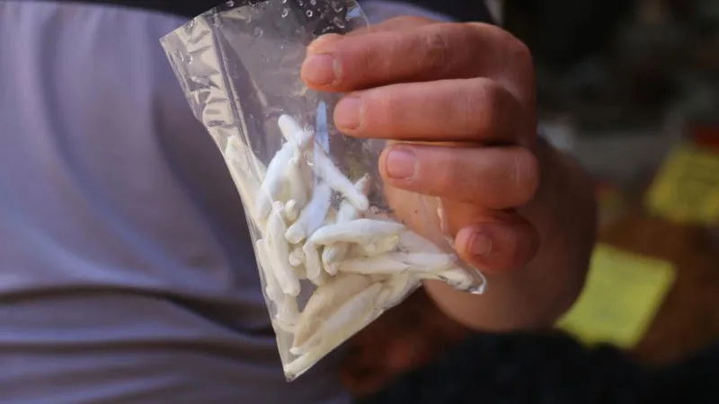 Dünyanın en pahalı sakızı Sivas'ta! Fiyatı çeyrek altını geçti, yarımla yarışıyor!