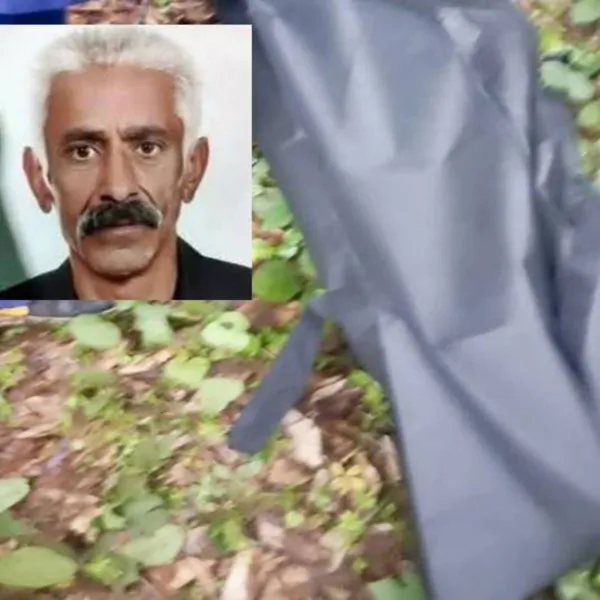 Ordu'da Kayıp Yaşlı Adam Ölü Bulundu! 27 Gün Sonra Acı Haber