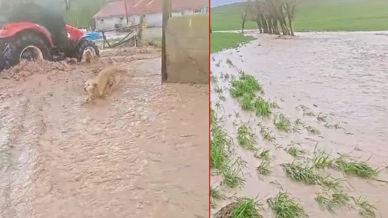 Sivas'ta Şiddetli Yağış: Köyü Sel Bastı! İşte O Anlar