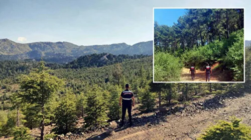 Muğla'da Ormanlara Giriş Yasağı! İşte Detaylar...